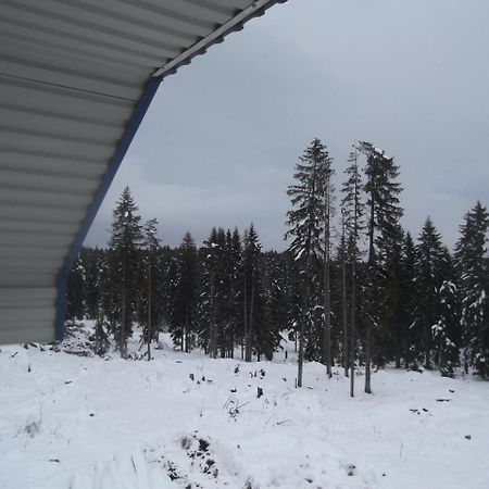 Apartman Lucija Zabljak  Bagian luar foto
